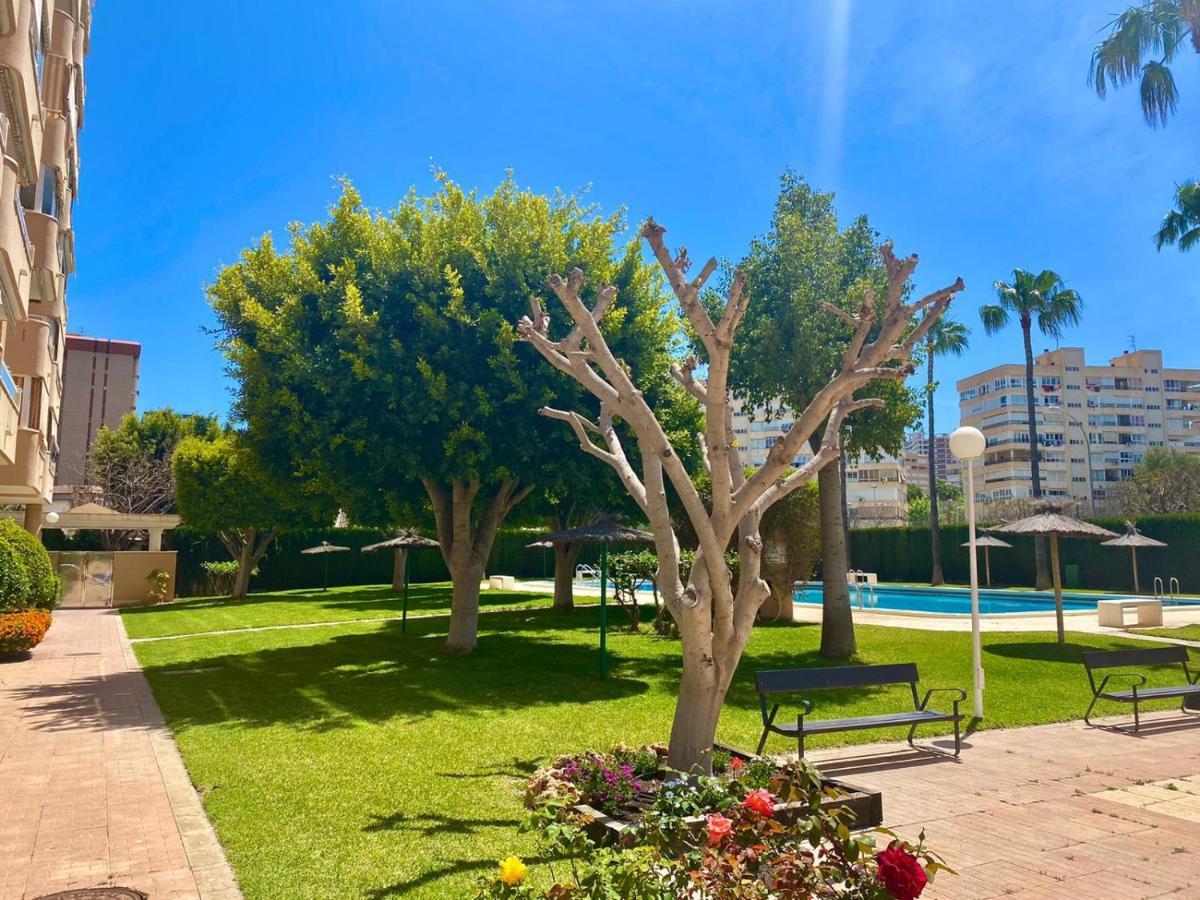 Apartamento Atenas Piscina 4 Pax, Inmobiliaria Leo Playa De San Juan Alicante Exteriör bild